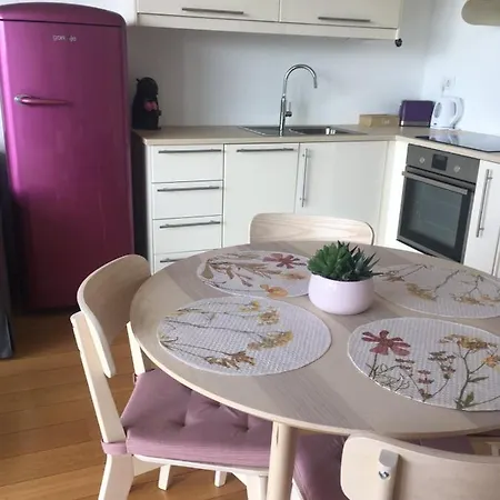 公寓 提利亚住宿公寓 *